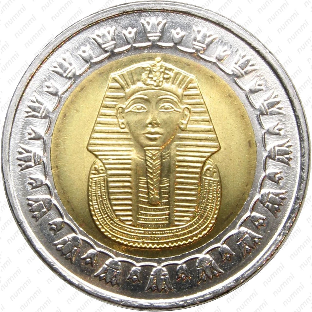 First coins. Монета Египта 1 паундс. One pound монета Египет. Монета Египта 1 фунт Тутанхамон. Монета 1 pound Египет.