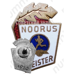 Знак «Чемпион юношеского ДСО «NOORUS»(Юность)»