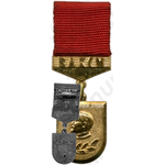 Знак «Лауреат премии имемни Ф.Э.Дзержинского ЦК ВЛКСМ»