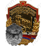 Знак «ЦК ЛКСМУ «За участие в строительстве комсомольских домен и мартенов»»