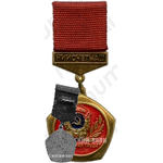Знак «Ветеран труда научно-исследовательского института счётного машиностроения (НИИСчетмаш)»