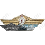 Нагрудный знак специалиста 1 класса для офицеров, генералов и адмиралов Вооруженных Сил 