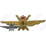 Нагрудный знак военного летчика 1-го класса