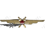 Нагрудный знак военного летчика
