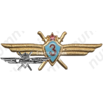 Нагрудный знак военного летчика-го класса