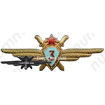 Нагрудный знак военного летчика-го класса