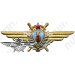 Нагрудный знак военного штурмана 1-го класса 