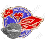 Знак «Пионерский лагерь «Красная гвоздика»»