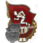 Знак отличника комплекса ГТО 1-й ступени 