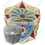 Знак «Военно-воздушные силы СССР. 1941-1945»