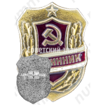Знак «Дружинник. Тип 5»