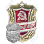 Знак «Дружинник. Тип 5»