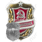 Знак «Дружинник. Тип 5»