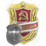 Знак «Дружинник. Тип 5»
