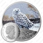 20 долларов 2016, Снежная сова [Канада]