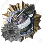 Знак «Отличник Госкомгидромета»
