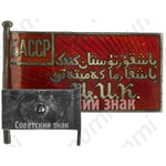 Знак депутата ЦИК (Центральный исполнительный комитет) Башкирской АССР 