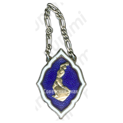 Жетон по баскетболу 