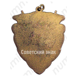 Призовой жетон чемпиона первенства Казахской ССР. Городки 