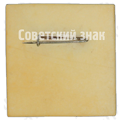 Знак «РСФСР (Российская Советская Федеративная Социалистическая Республика). Тип 2»