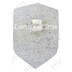 Знак «Всероссийское добровольное пожарное общество (ВДПО)»