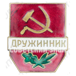 Знак «Дружинник»