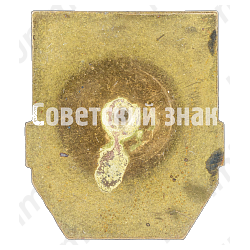 Знак «Дружинник»