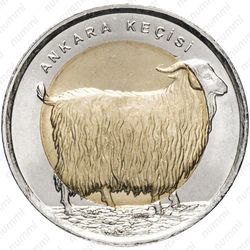 1 лира 2015, коза - Реверс