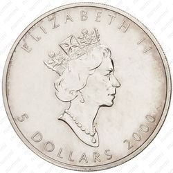 5 долларов 2000, тысячелетие - Аверс