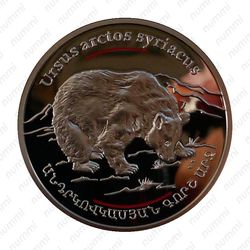 100 драмов 2006, медведь [Армения] Proof - Реверс