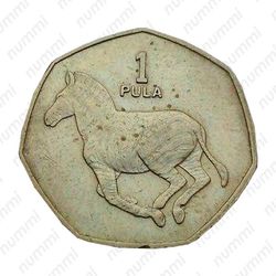 1 пула 1991 [Ботсвана] - Реверс
