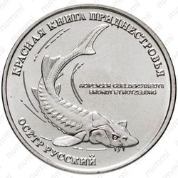 1 рубль 2018, осётр [Приднестровье (ПМР)] - Реверс