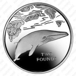 2 фунта 2016, Малый полосатик [Южная Георгия и Южные Сандвичевы Острова] - Реверс