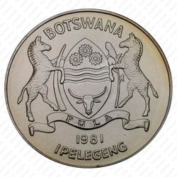 5 пул 1981, Международный год инвалидов [Ботсвана] - Аверс