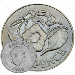 6 пенсов 1966 [Замбия]