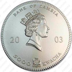 5000 квач 2003, Дикая природа Африки - Слоны [Замбия] - Аверс