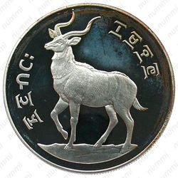 25 быров 1978, Горная ньяла [Эфиопия] - Реверс