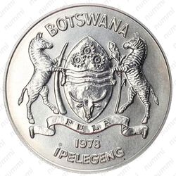 5 пул 1978, Орикс [Ботсвана] - Аверс