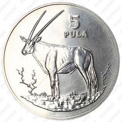 5 пул 1978, Орикс [Ботсвана] - Реверс