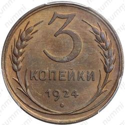 3 копейки 1924