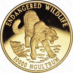 10000 нгултрумов 1996