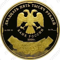 25000 рублей 2009, денежное обращение