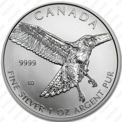 5 долларов 2015, краснохвостый сарыч