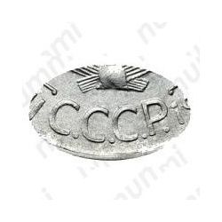 20 копеек 1930, перепутка