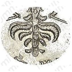 1 рубль 1726, московский тип, портрет влево, хвост орла широкий, 12-13 перьев в крыле орла