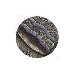 1 рубль 1707, портрет работы Г. Гаупта, без знака гравёра, год цифрами, без лент у венка