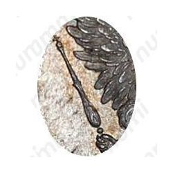 Серебряная монета 1 рубль 1807, СПБ-ФГ, орёл меньше, реверс: бант меньше