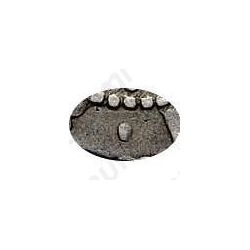 гривна 1709, БК, точки разделяют круговую надпись аверса - Детали