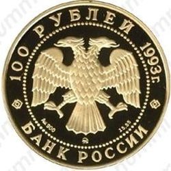 100 рублей 1993, Чайковский