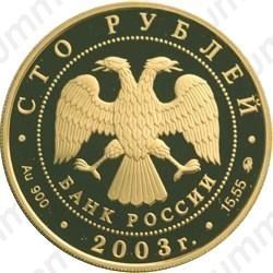 100 рублей 2003, Петрозаводск
